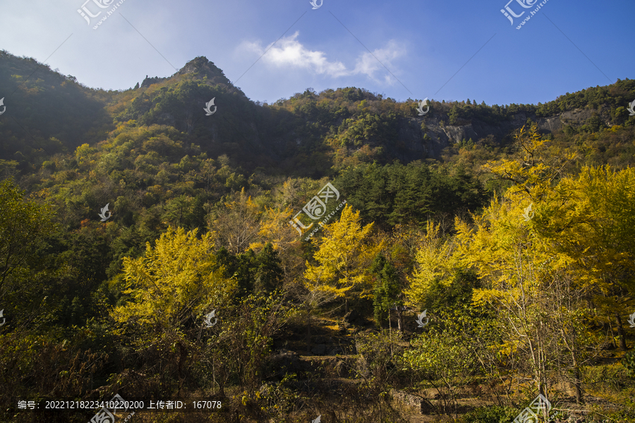 秋天的田野