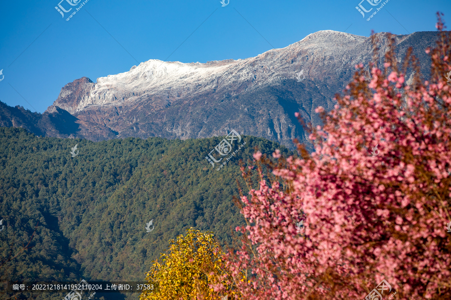 大理风景