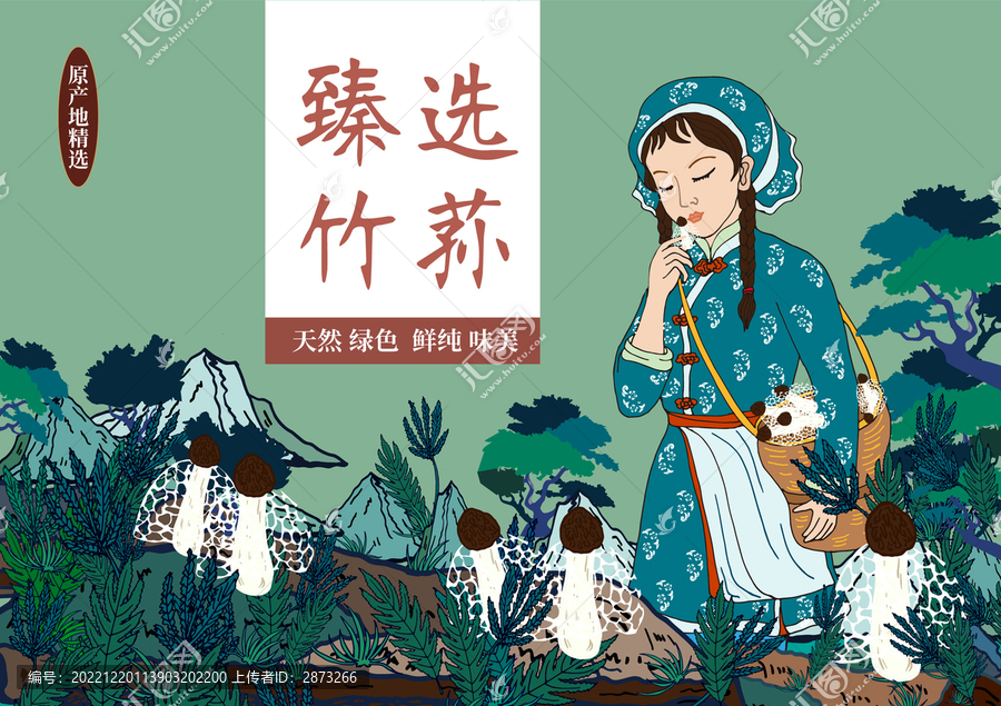 竹荪礼盒包装插画采摘竹荪