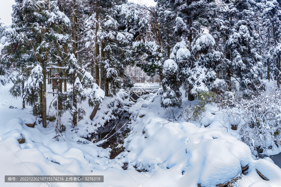 金华山小西湖林区雪景风光