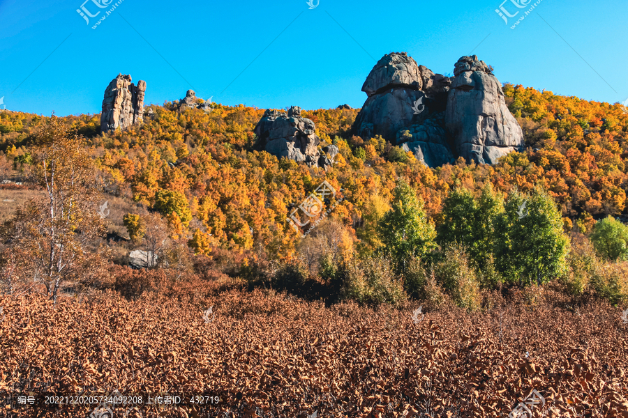 秋天山峰森林