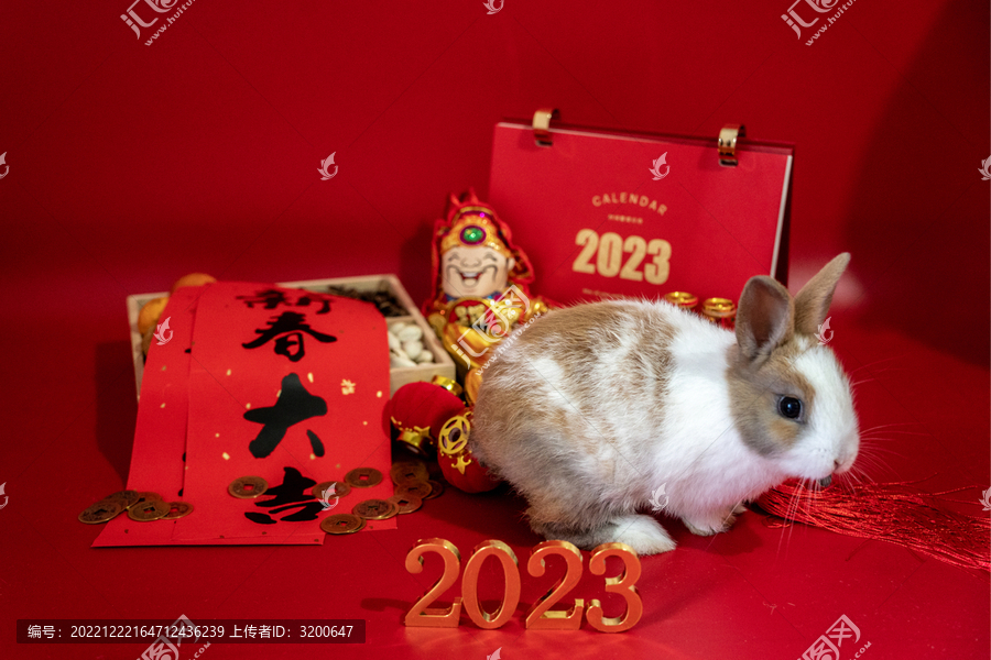 2023年兔年春节新年