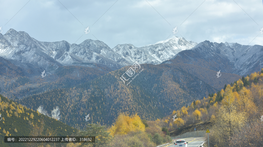 甘孜彩林雪山红叶摄影天堂38