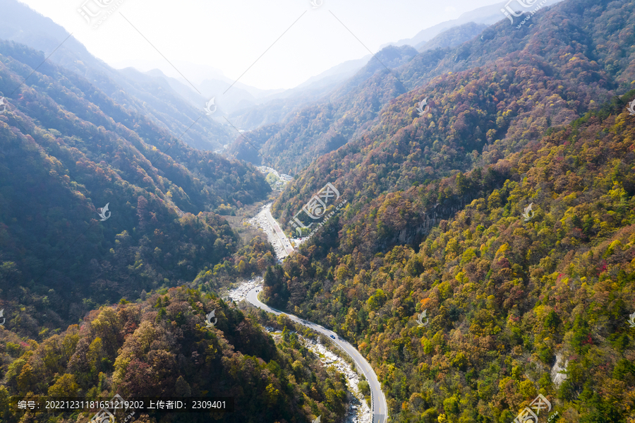 通山路