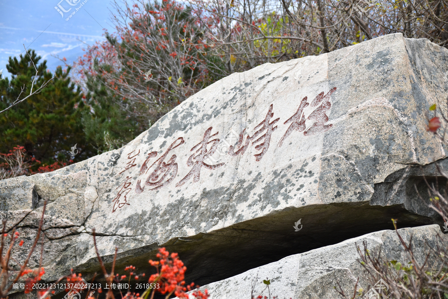 雄峙东海