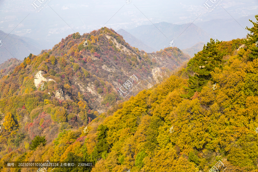 秦岭秋色