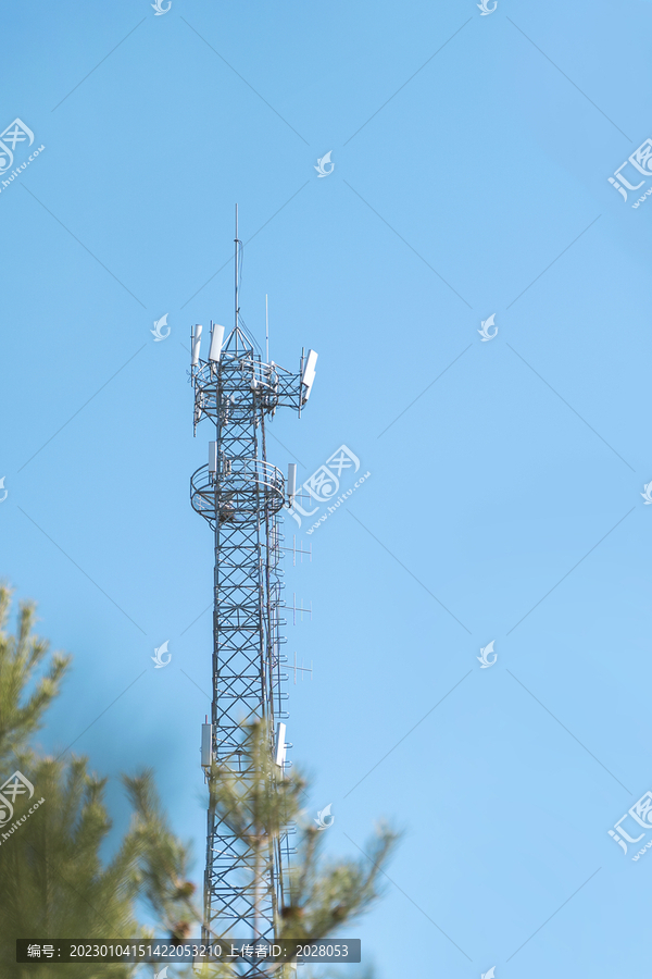 夏日森林中的通讯信号基站