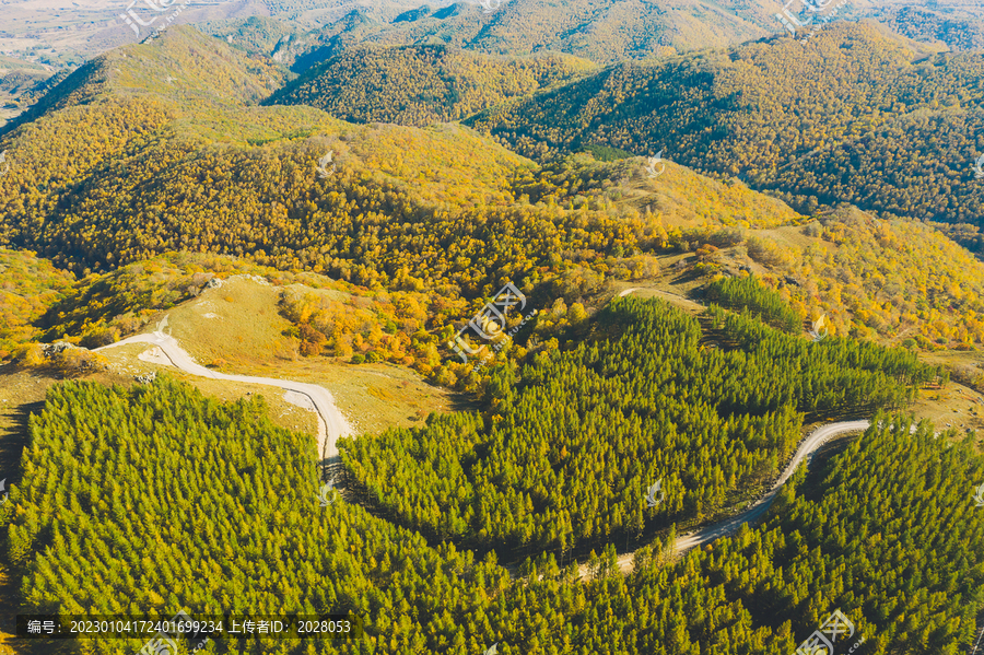 航拍秋季山路秋景图片