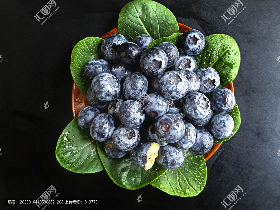 拍摄浆果蓝莓