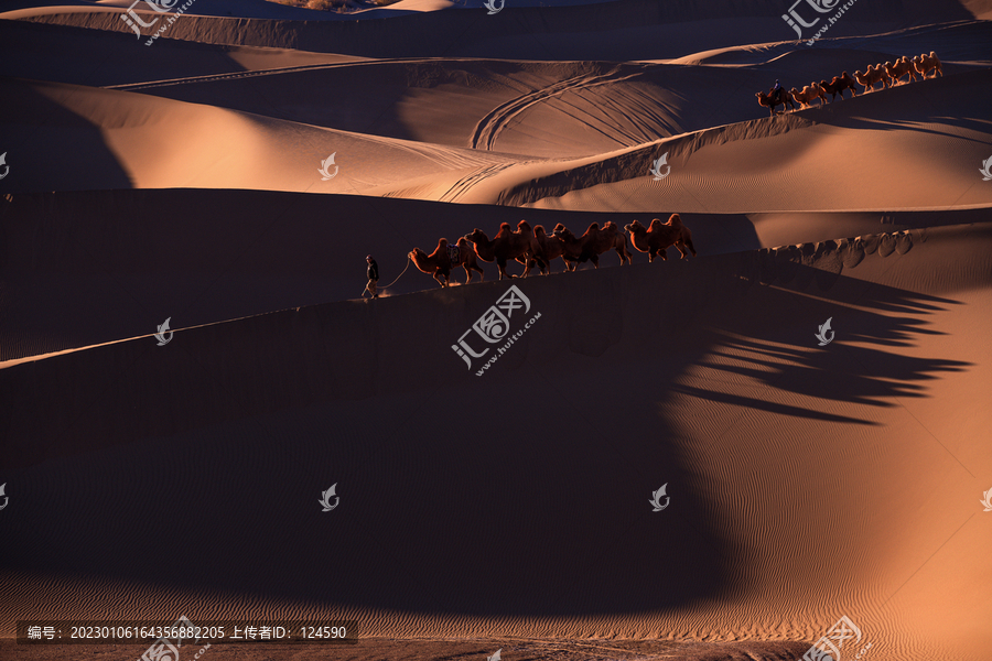 沙漠中