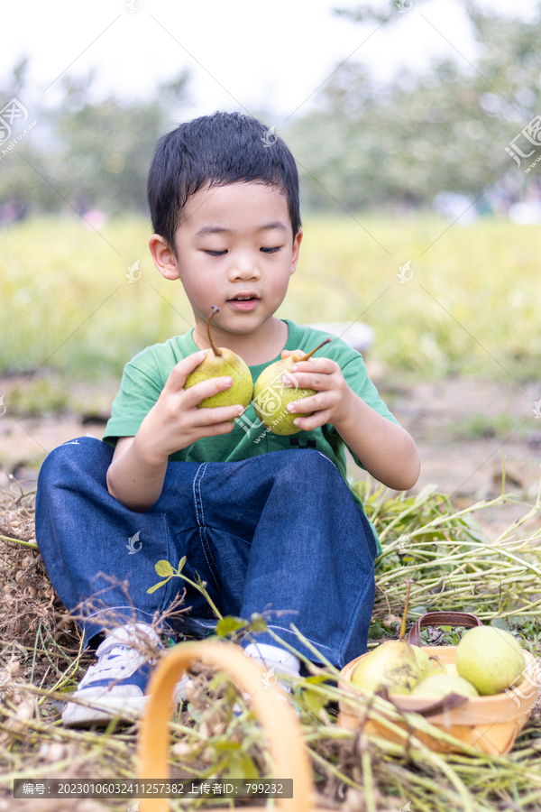 快乐的小男孩坐在菜地边吃梨