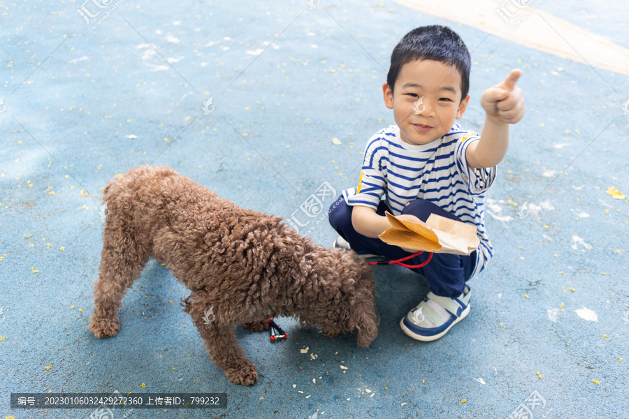 快乐的小男孩和小狗在院子里玩耍