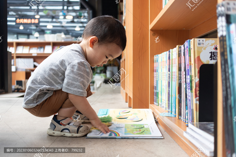 一个小男孩蹲在书架前认真阅读