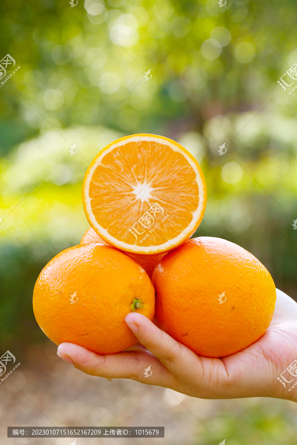 褚橙