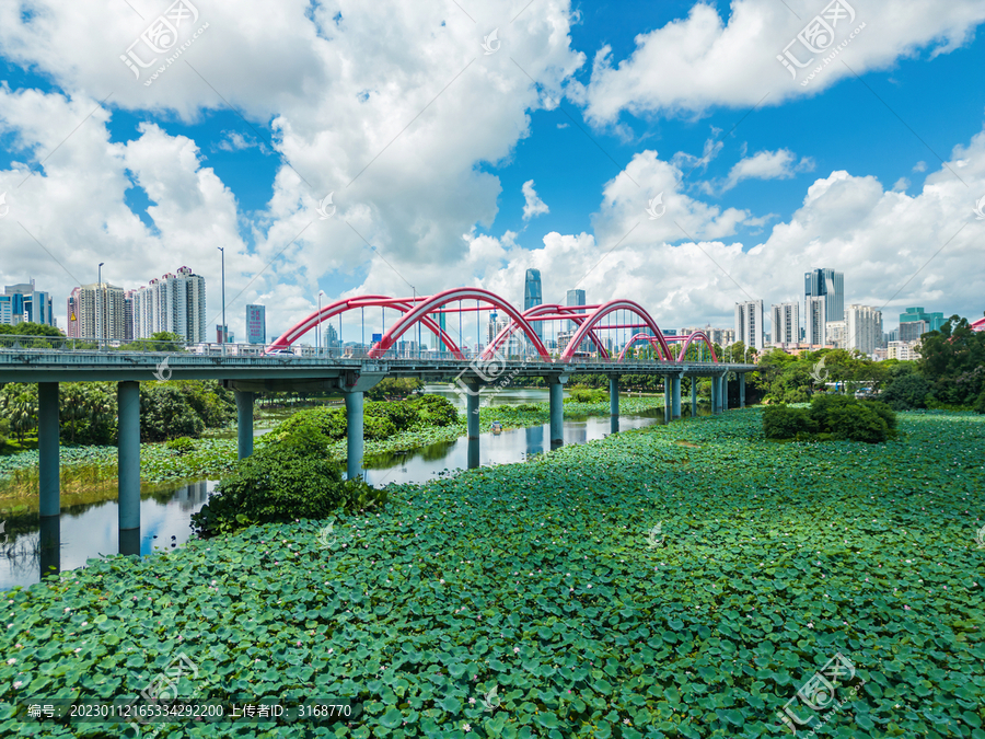 深圳罗湖区洪湖公园