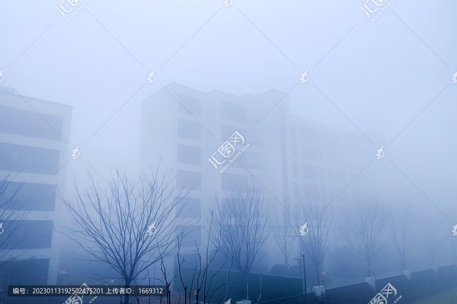 清晨小区里的浓雾
