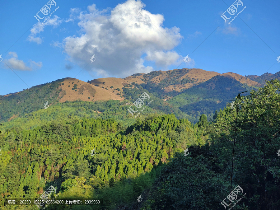 高山流云