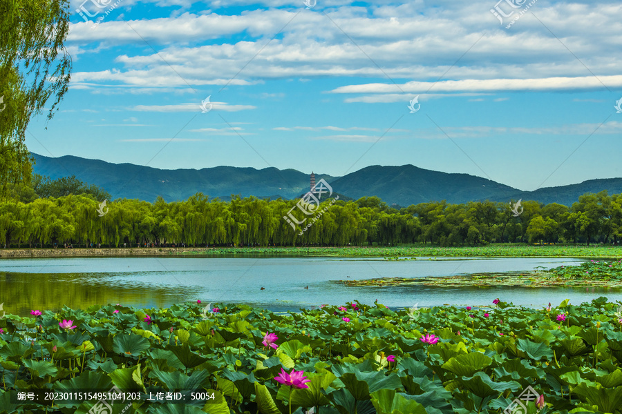 北京颐和园夏日风光