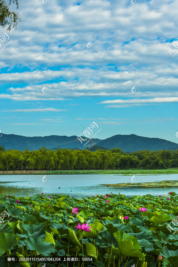 北京颐和园夏日风光