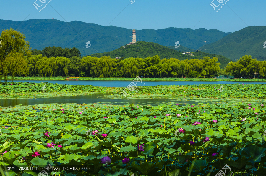 北京颐和园夏日风光