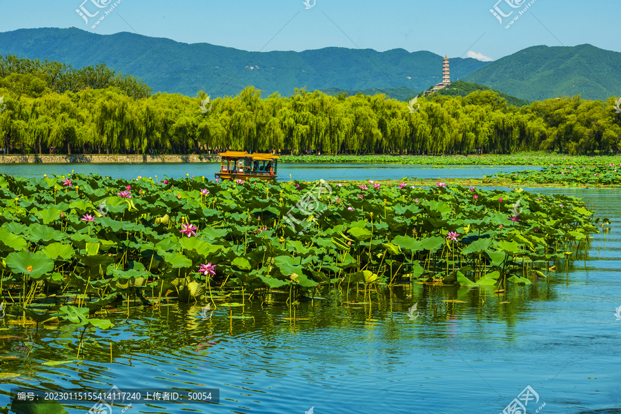 北京颐和园夏日风光