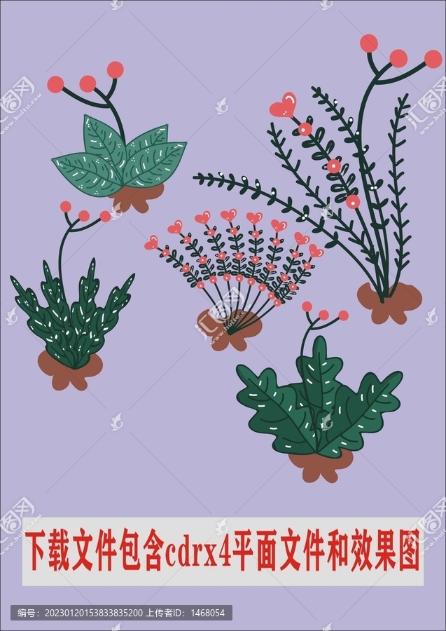 野花植物鲜花各种鲜花