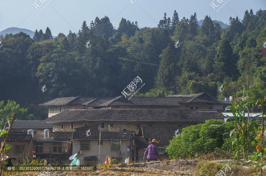 洪坑村子风景
