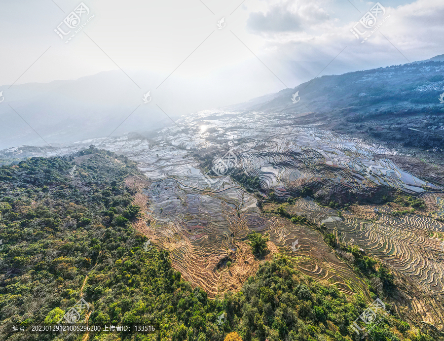 撒马坝梯田