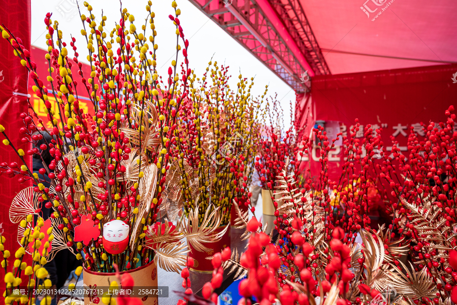 新春花市银柳盆栽