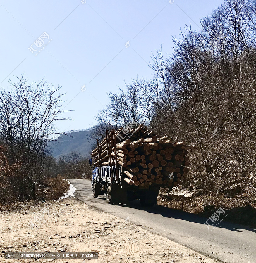 拉木材的卡车