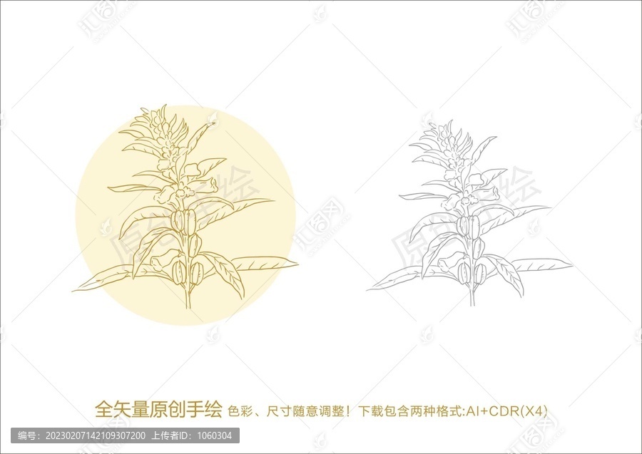 芝麻手绘芝麻花