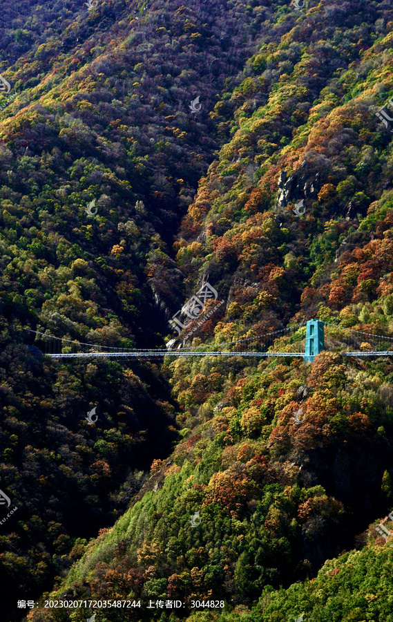 百花山风景