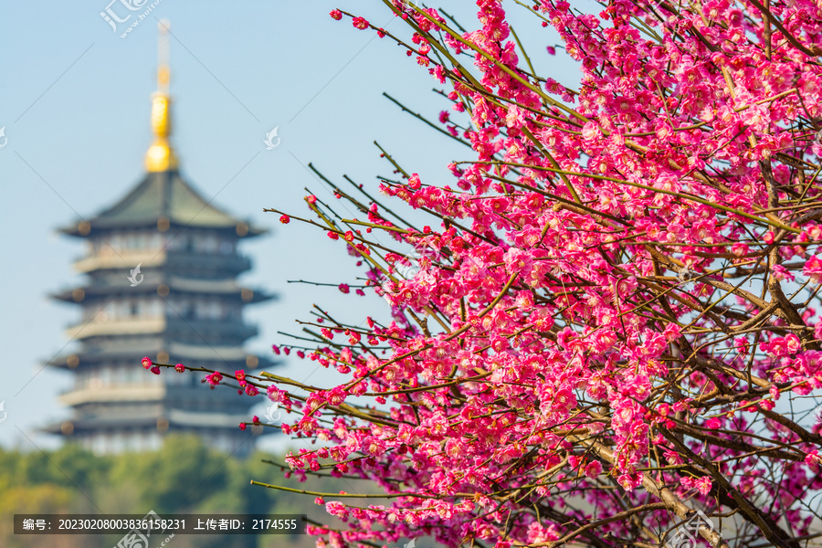 杭州旅游