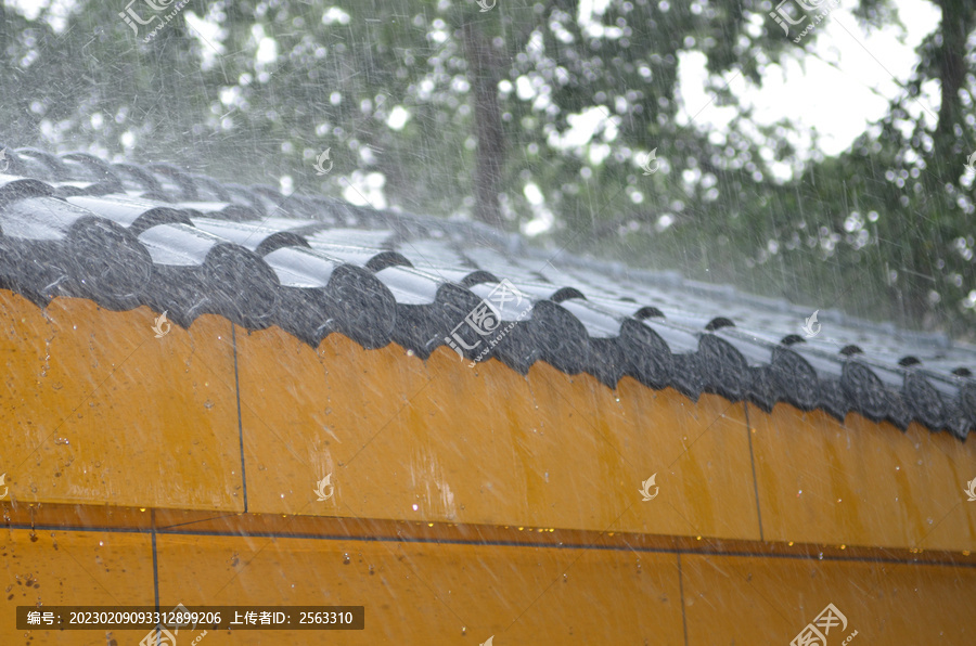 雨