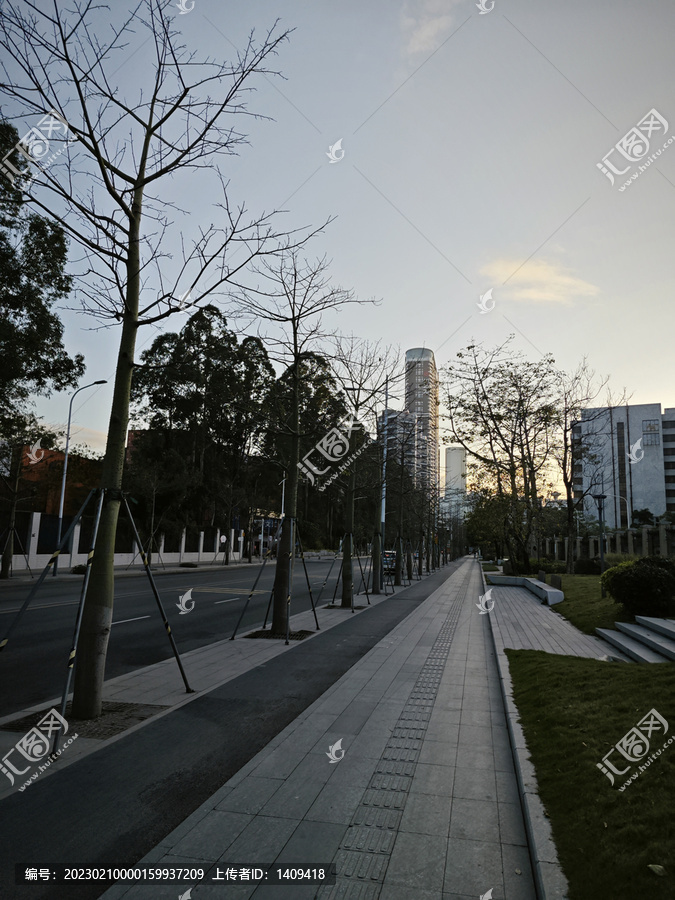 城市道路