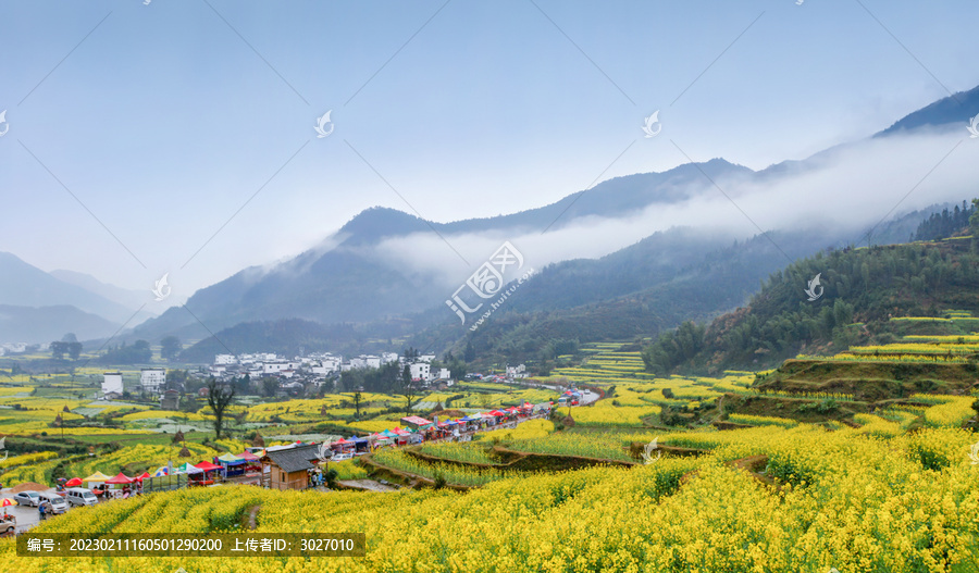 婺源江岭村油菜花全景图