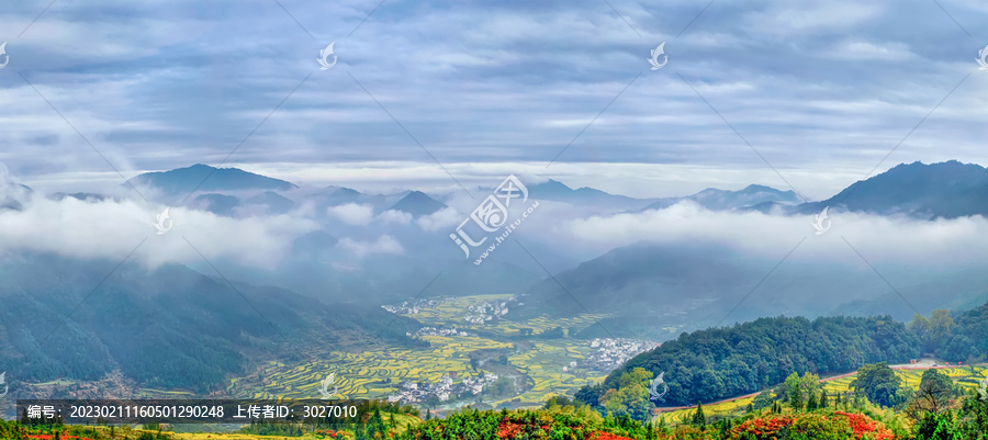 婺源江岭村云海油菜花全景图