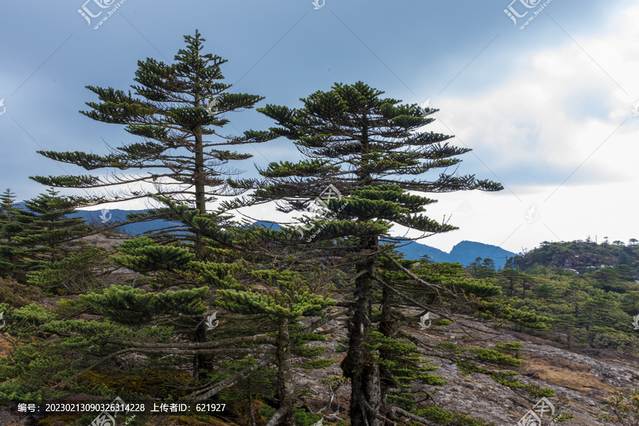 高山风光