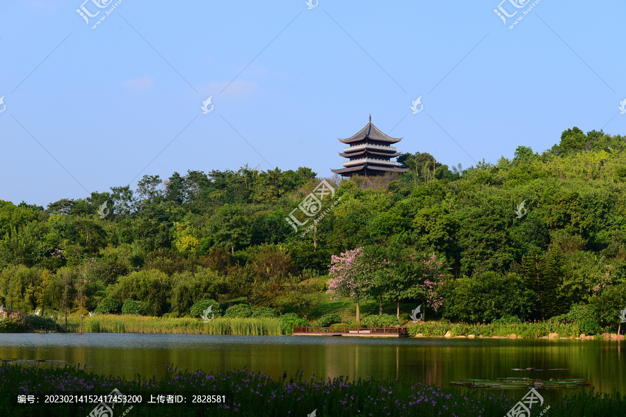 森林古寺