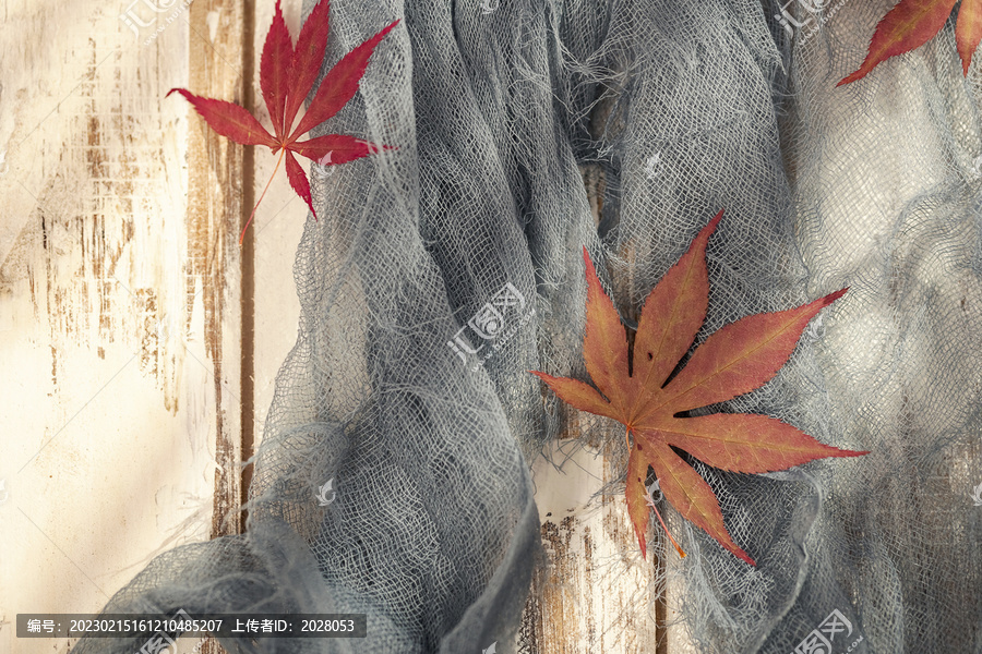 枫叶明亮光影秋季温暖海报