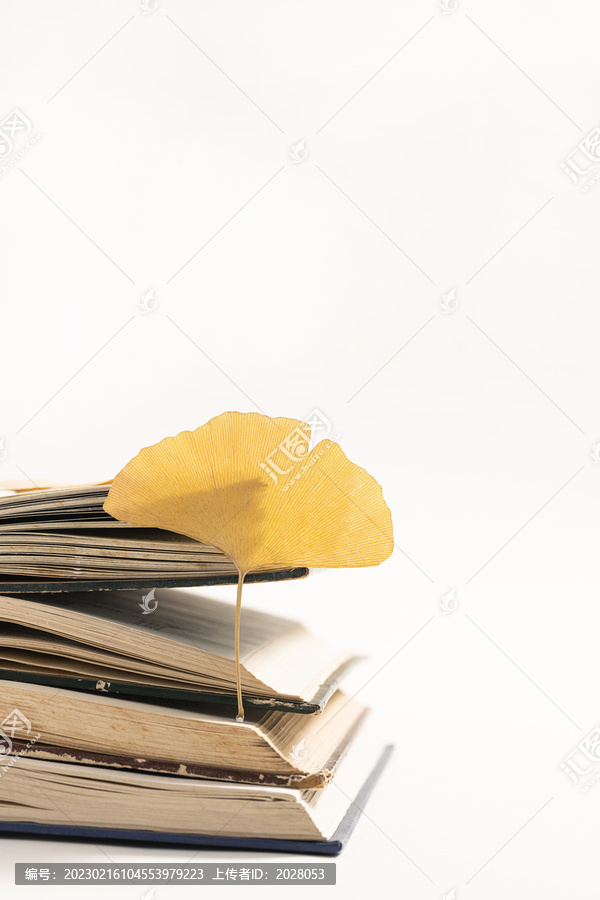 银杏叶与打开的图书秋天海报