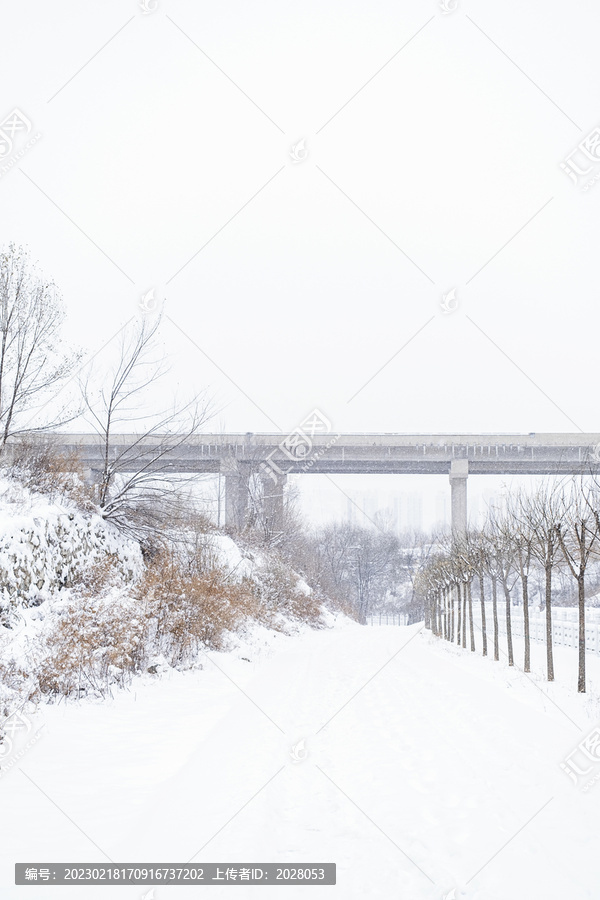 冬天高速桥下的山路