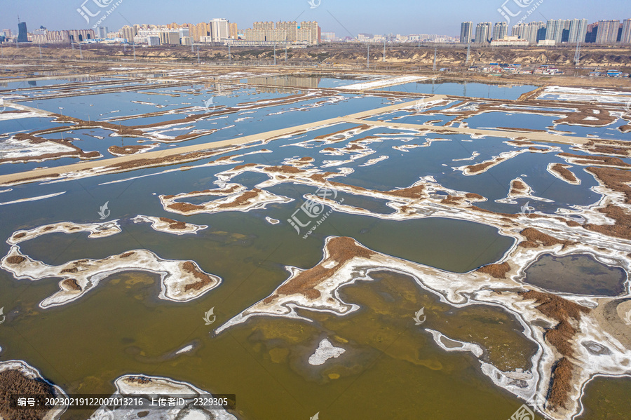 山西运城春来盐湖画意浓