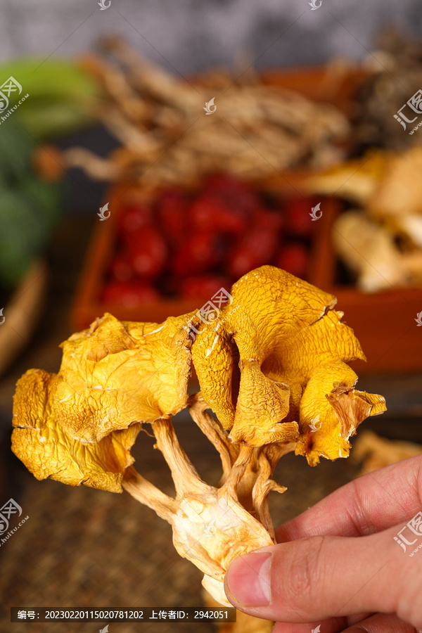 鸡油菌干