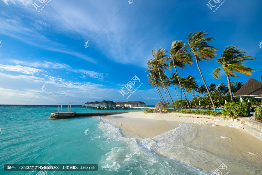 马尔代夫椰林水屋海景