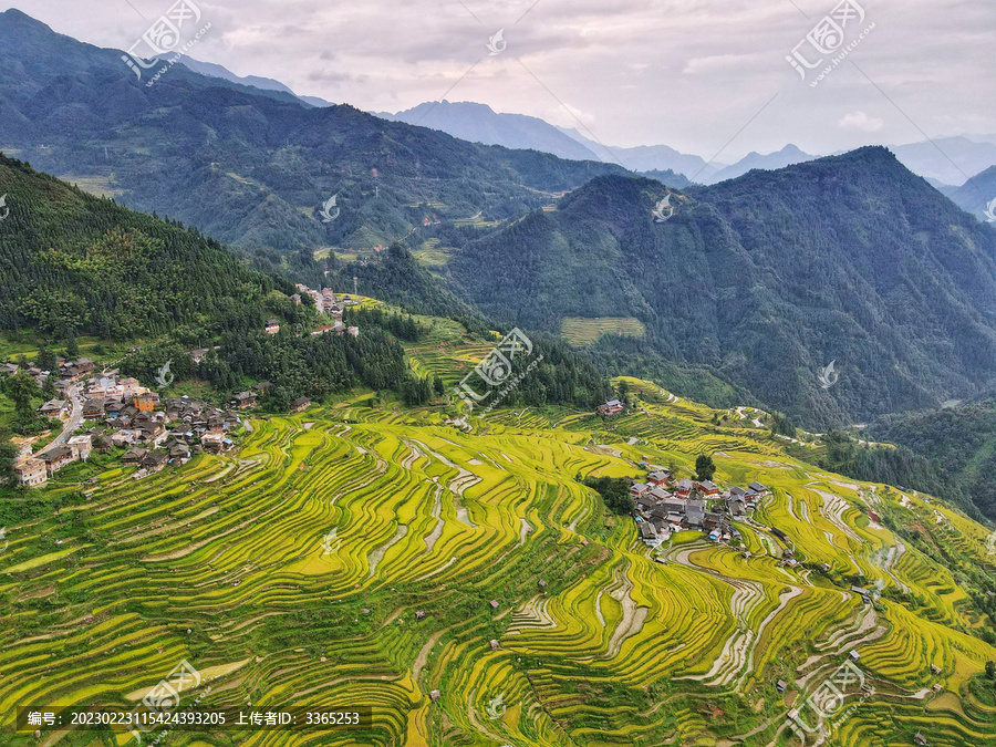 黔东南旅游加榜梯田