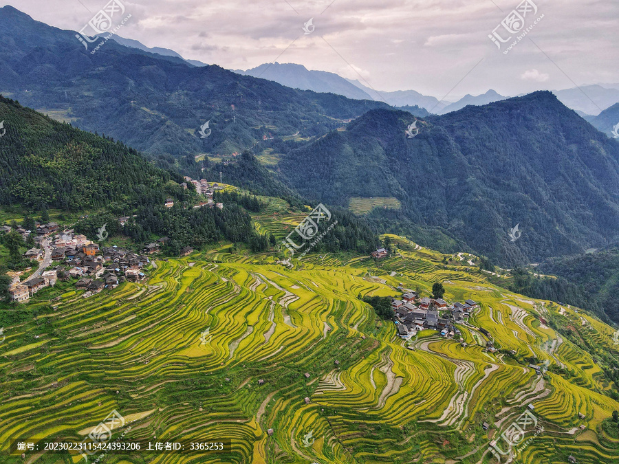 黔东南旅游加榜梯田