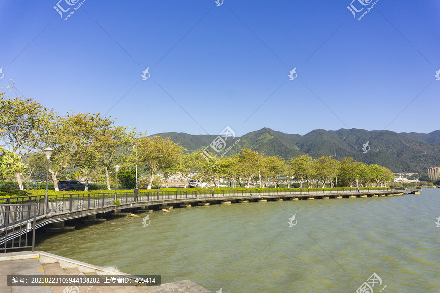 肇庆星湖西堤紫荆花道