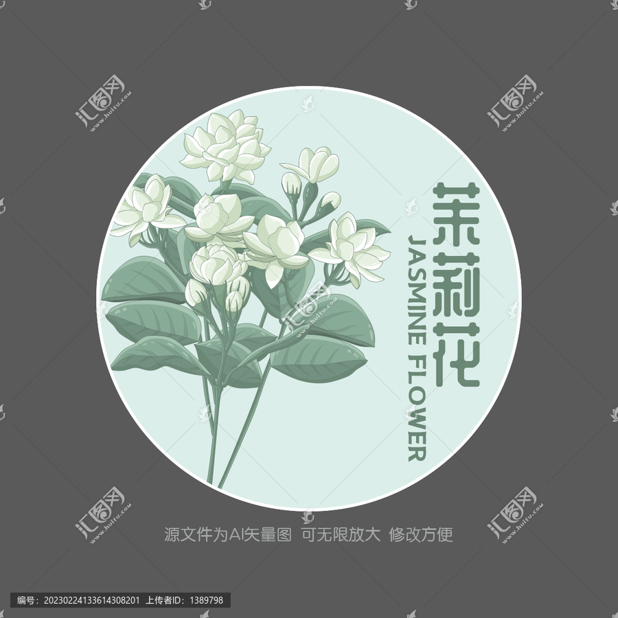 手绘茉莉花