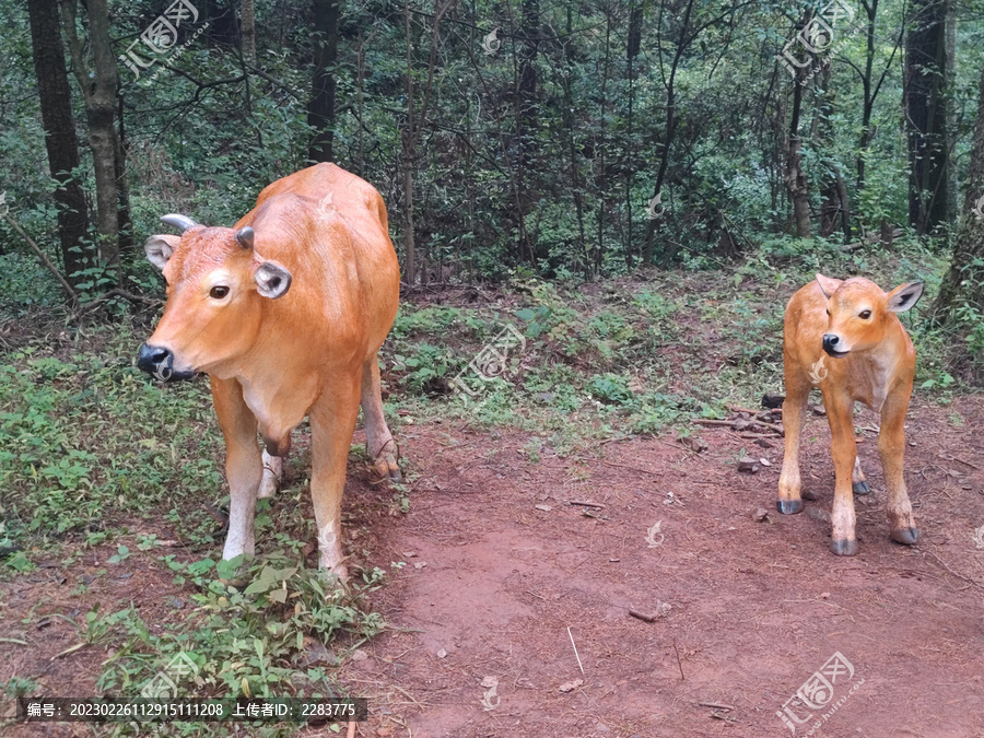 黄牛雕塑